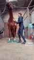 Horse girl_thumb.jpg