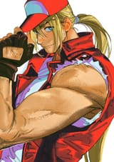 terry bogard fatal fury