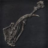 amygdalan_arm