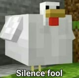 Silence Fool