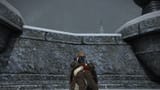 ffxiv_01192025_133409_657