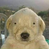 1619217173979