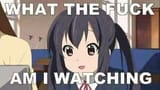 1728494146681904