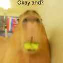 1736385628567342_thumb.jpg
