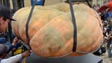 _131385335_travisgienger-winningpumpkin-16