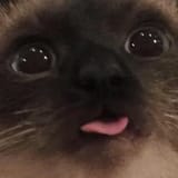 1726295137020383
