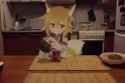 Senko Give You Tea_thumb.jpg