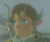 UGLY link