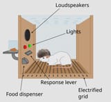 zoomer box