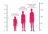 flores man height comp