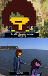 krisdog