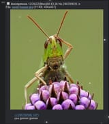 1754179991524868