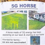 5G Horse