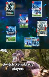 xenoblade ininity stones