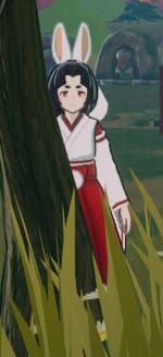 rinsnooping