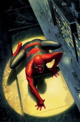 Spectacularspidermanmarvelart_grande