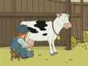 Orgasming Cow[sound=files.catbox.moe%2Fj4mo32.webm]_thumb.jpg