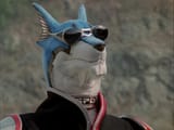 dogga6d7b66114f15454fe859577c9de5c8970aa935a_hq
