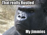 rustled jimmies