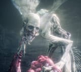 orphan of kos