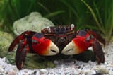 IMG-4959Z-1_430x430@2x