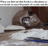 1754472411557853