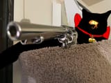 Nyans_Big_Iron