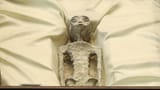 skynews-non-human-being-alien_6283068