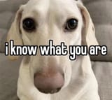 deg