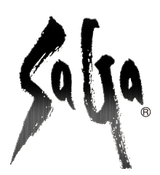 SaGa_text_logo