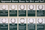 photo_horseshoes