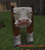 1603778987658