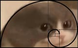1653517935413