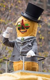 mr peanut