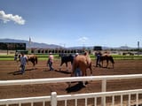 IMG_20250806_122415