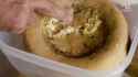 italy maggot cheese_thumb.jpg