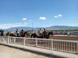 IMG_20250806_123456