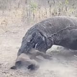 Total Goat Death