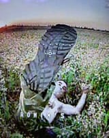 IMG_20240802_233006