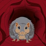 lemmiwinks