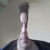 stickbugjim
