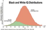 iq5