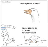 1735703038677735