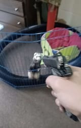 1704187337085745