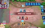 breeding phase