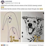 congratulations-to-the-two-winners-of-the-doggo-drawing-contest-meme-1982723312