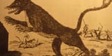 beast-of-gevaudan