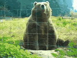 Hello!