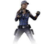 render