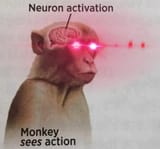 1685757903824130